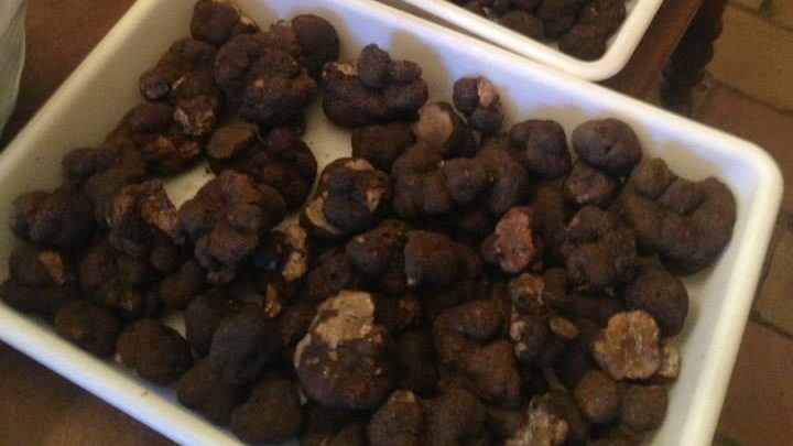 Truffes - Formule Diamant Noir